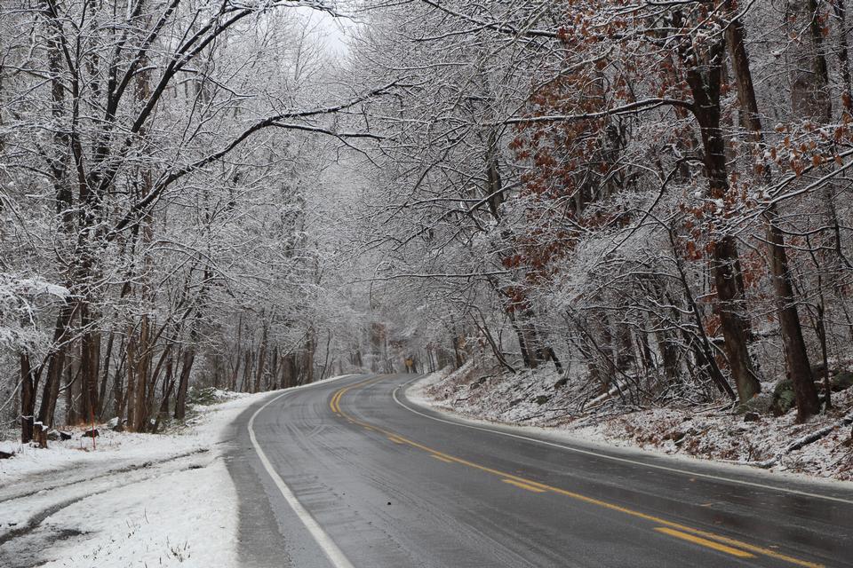 Free download high resolution image - free image free photo free stock image public domain picture  Frosted tree in Shenandoah National Park