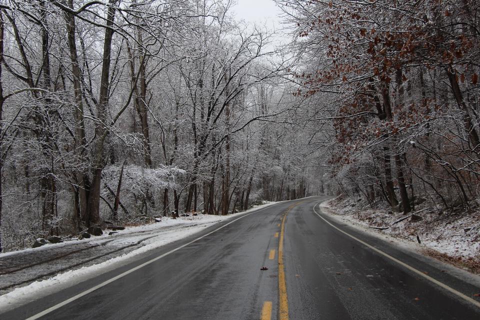 Free download high resolution image - free image free photo free stock image public domain picture  Frosted tree in Shenandoah National Park