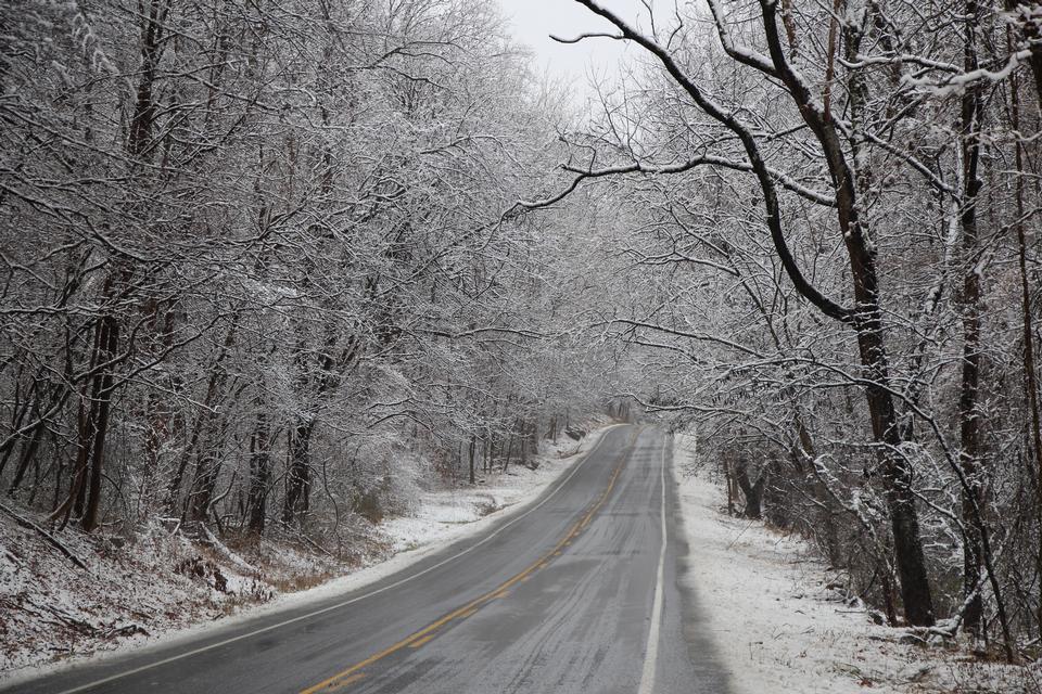 Free download high resolution image - free image free photo free stock image public domain picture  Frosted tree in Shenandoah National Park