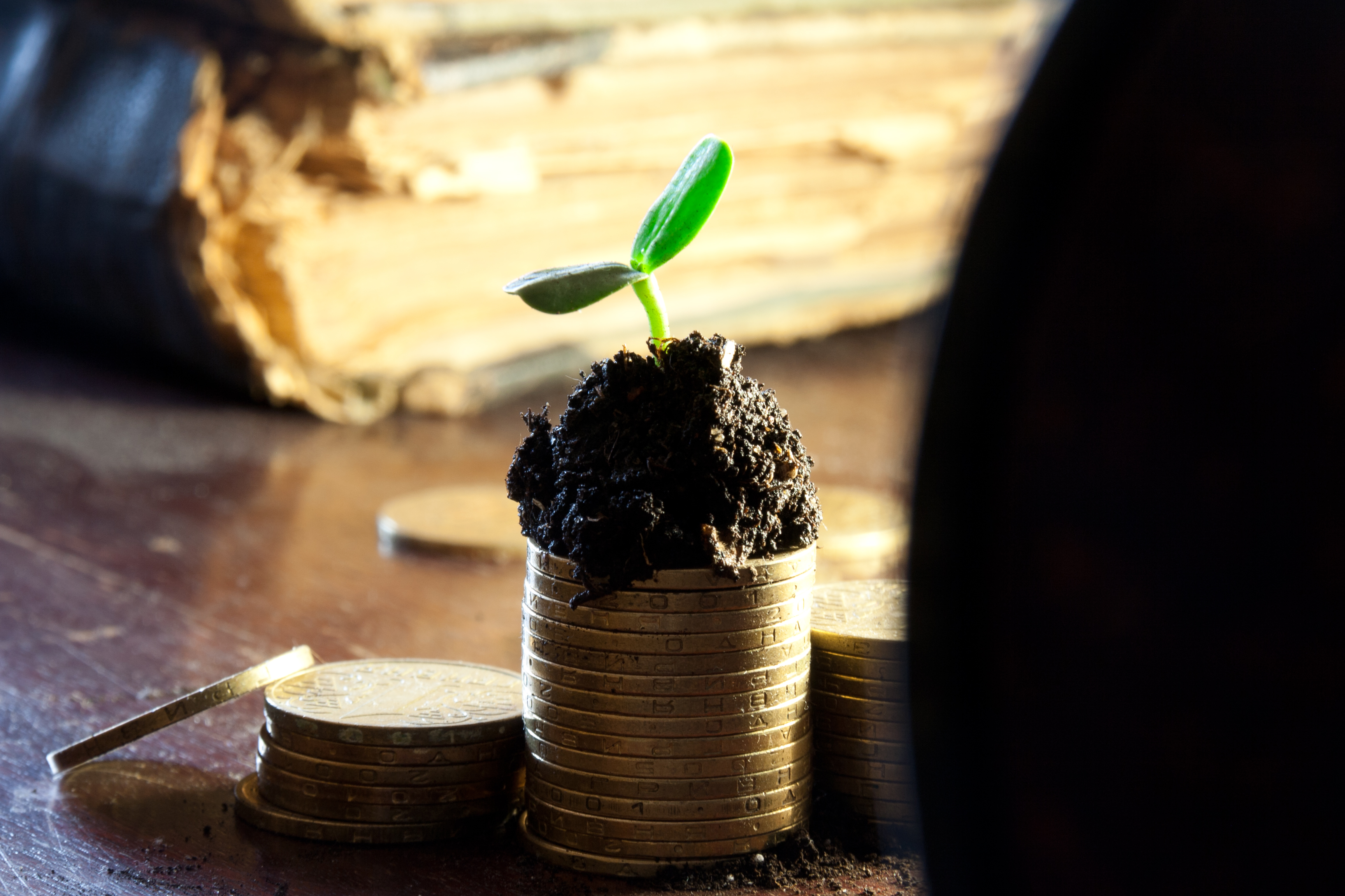 Free download high resolution image - free image free photo free stock image public domain picture -Golden coins in soil with young plant. Money growth concept.