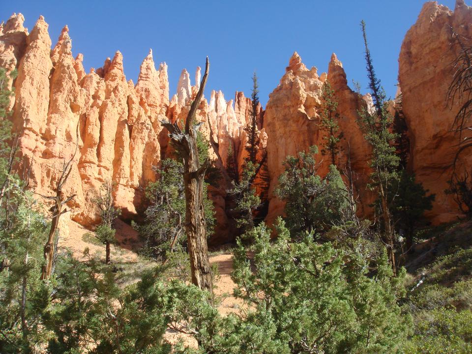 Free download high resolution image - free image free photo free stock image public domain picture  Bryce Canyon national park, USA