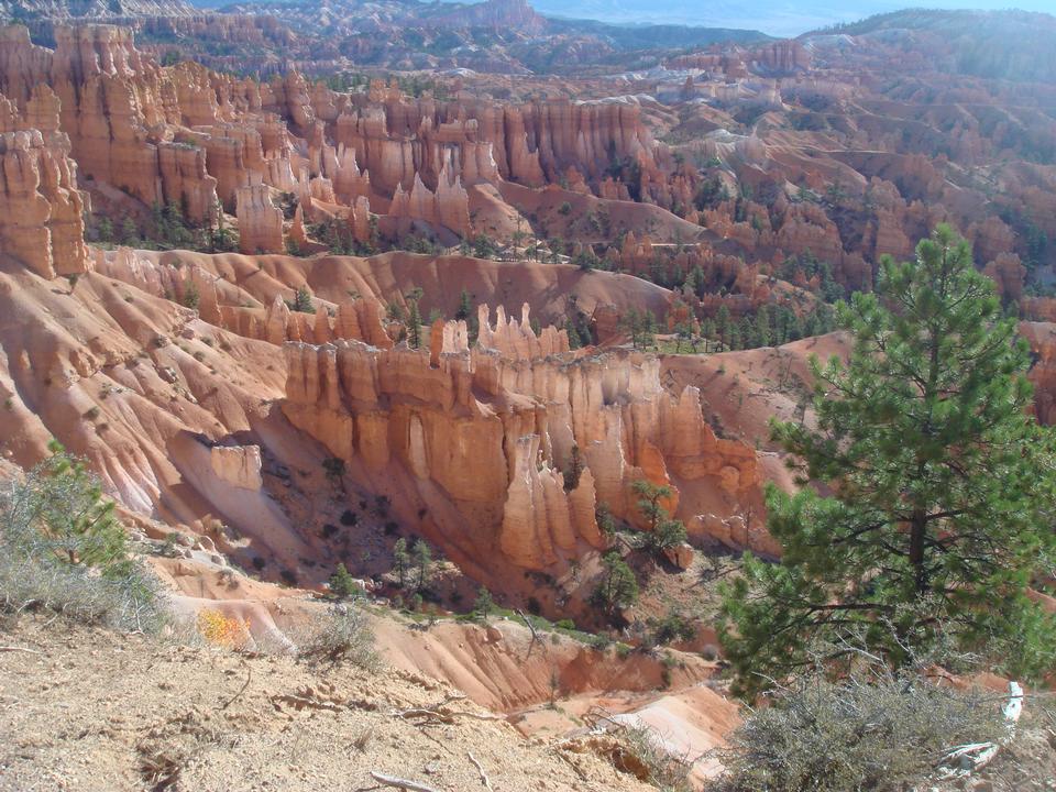 Free download high resolution image - free image free photo free stock image public domain picture  Bryce Canyon National Park, USA