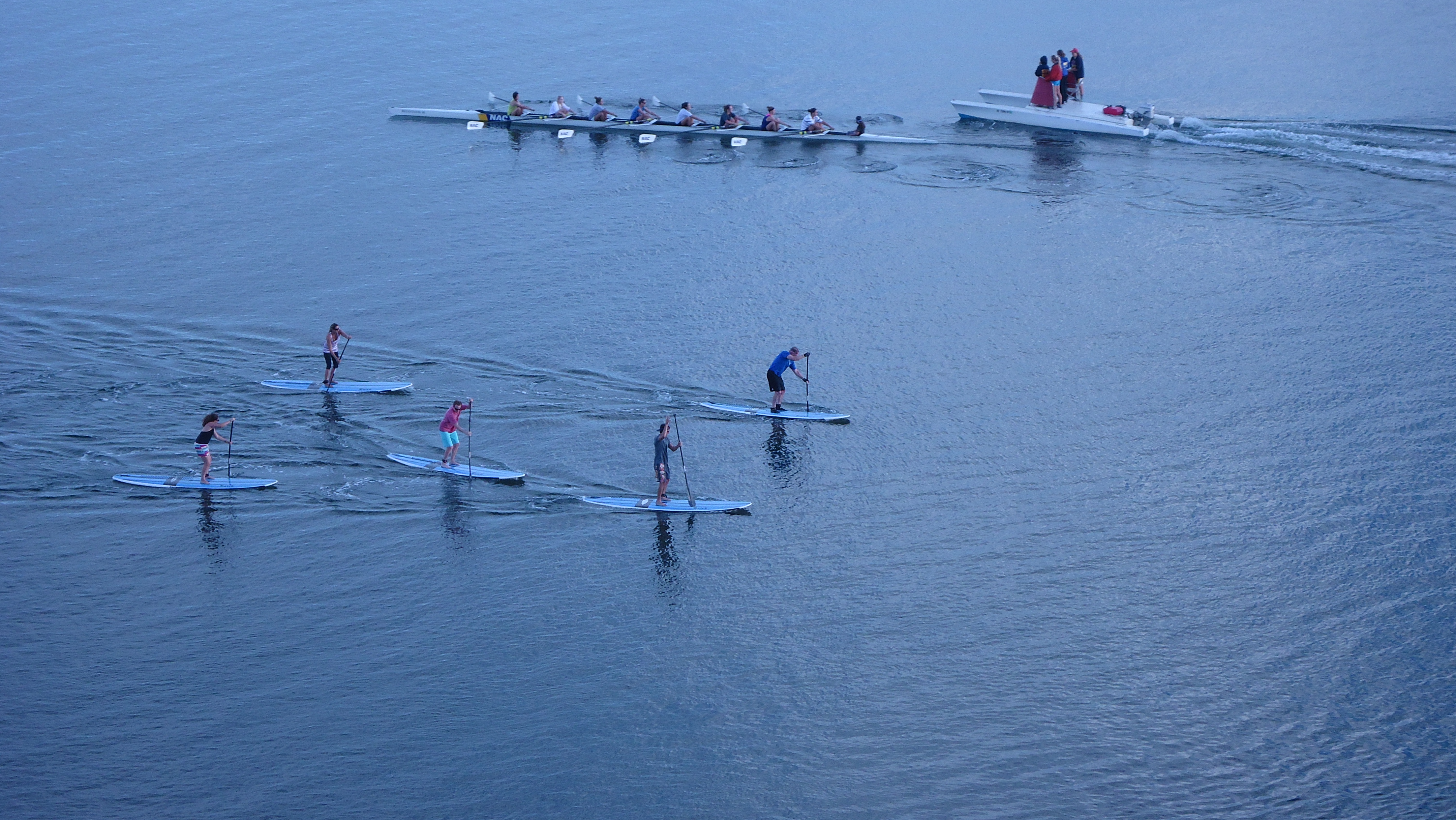 Free download high resolution image - free image free photo free stock image public domain picture -group of people stand up paddleboarding