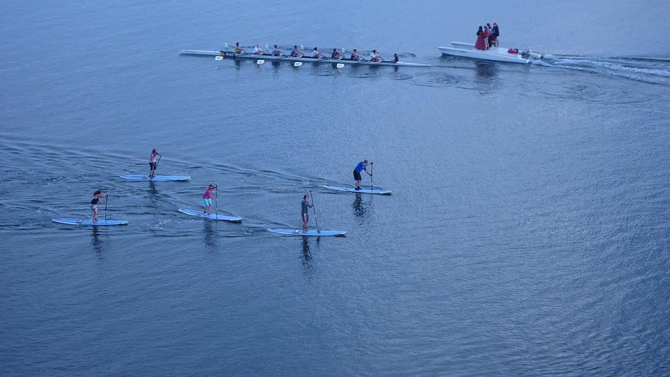 Free download high resolution image - free image free photo free stock image public domain picture  group of people stand up paddleboarding