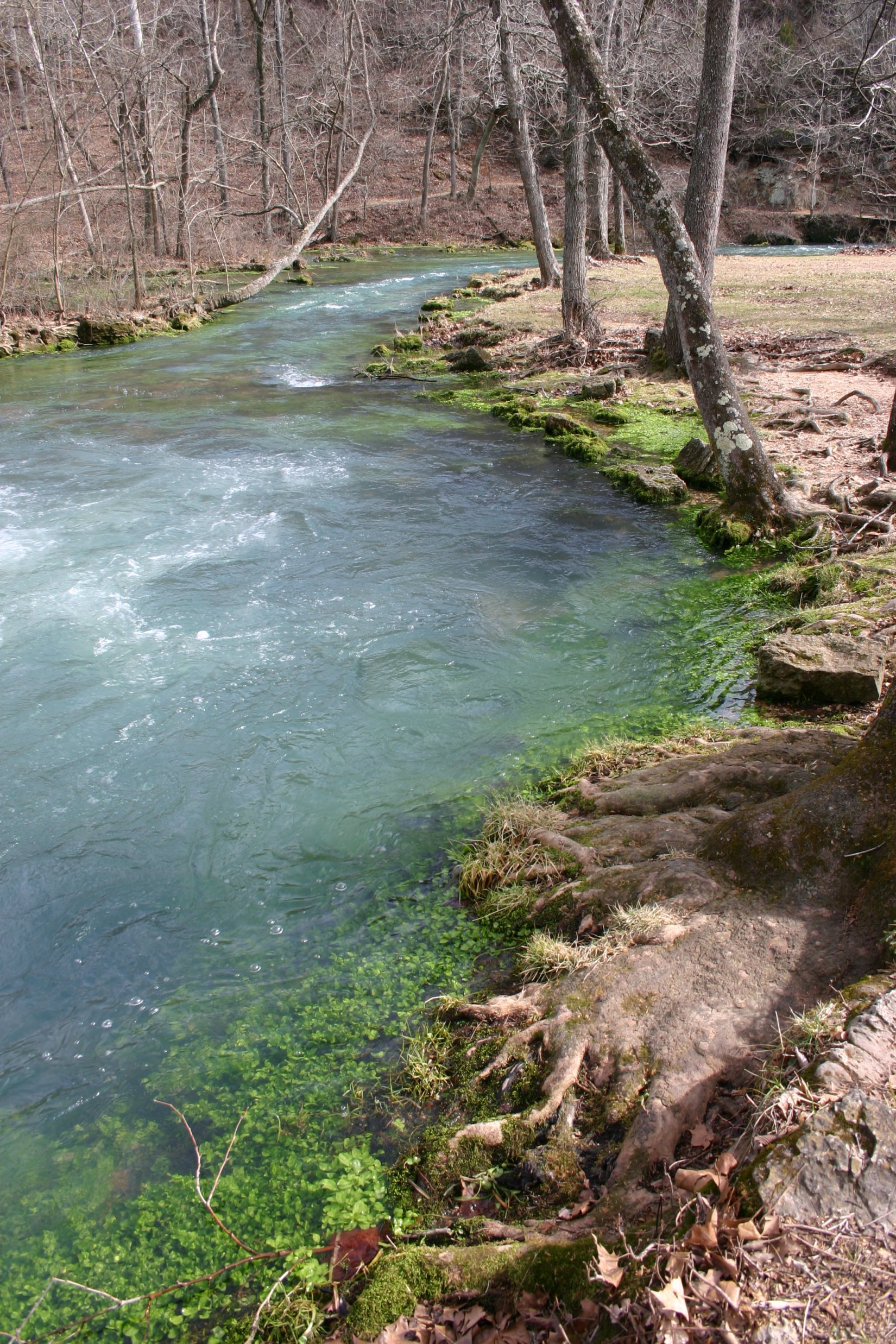 Free download high resolution image - free image free photo free stock image public domain picture -Ozark National Scenic Riverways