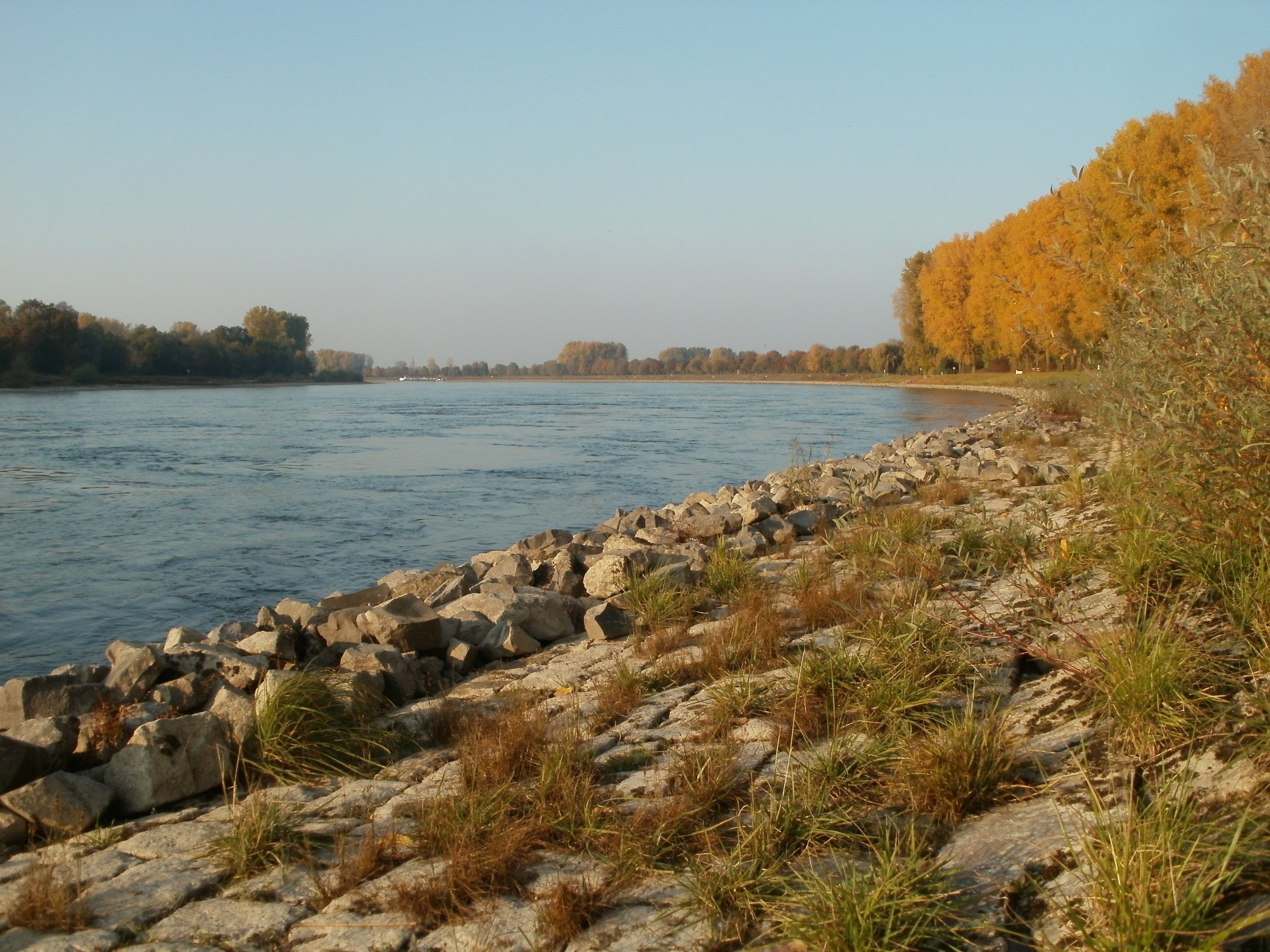 Free download high resolution image - free image free photo free stock image public domain picture -Rhine river in Germany