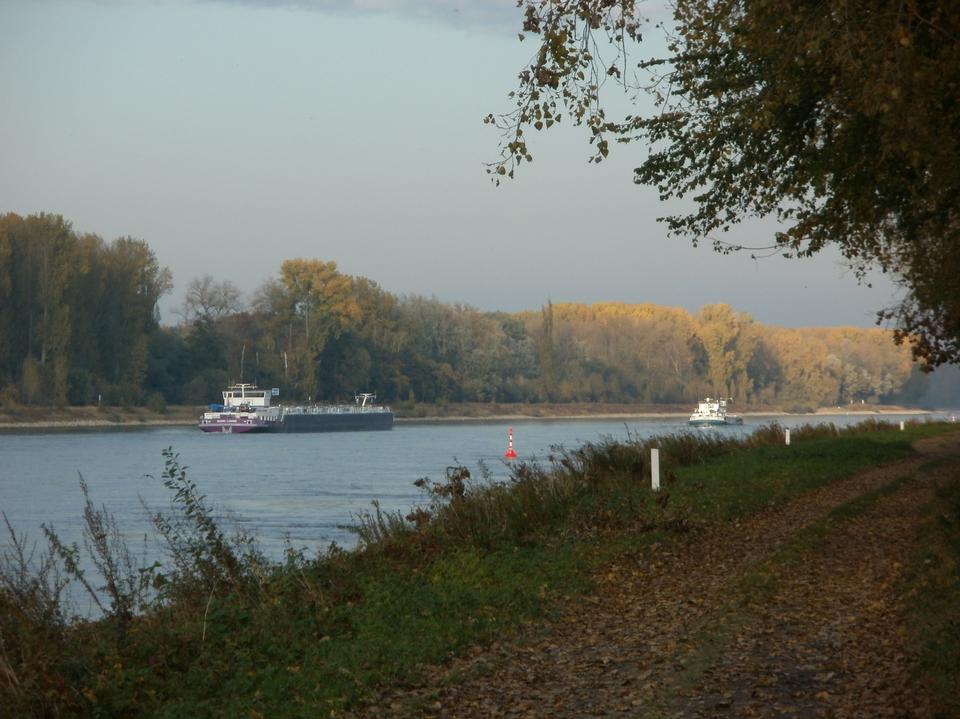 Free download high resolution image - free image free photo free stock image public domain picture  Rhine river in Rheinheim Germany