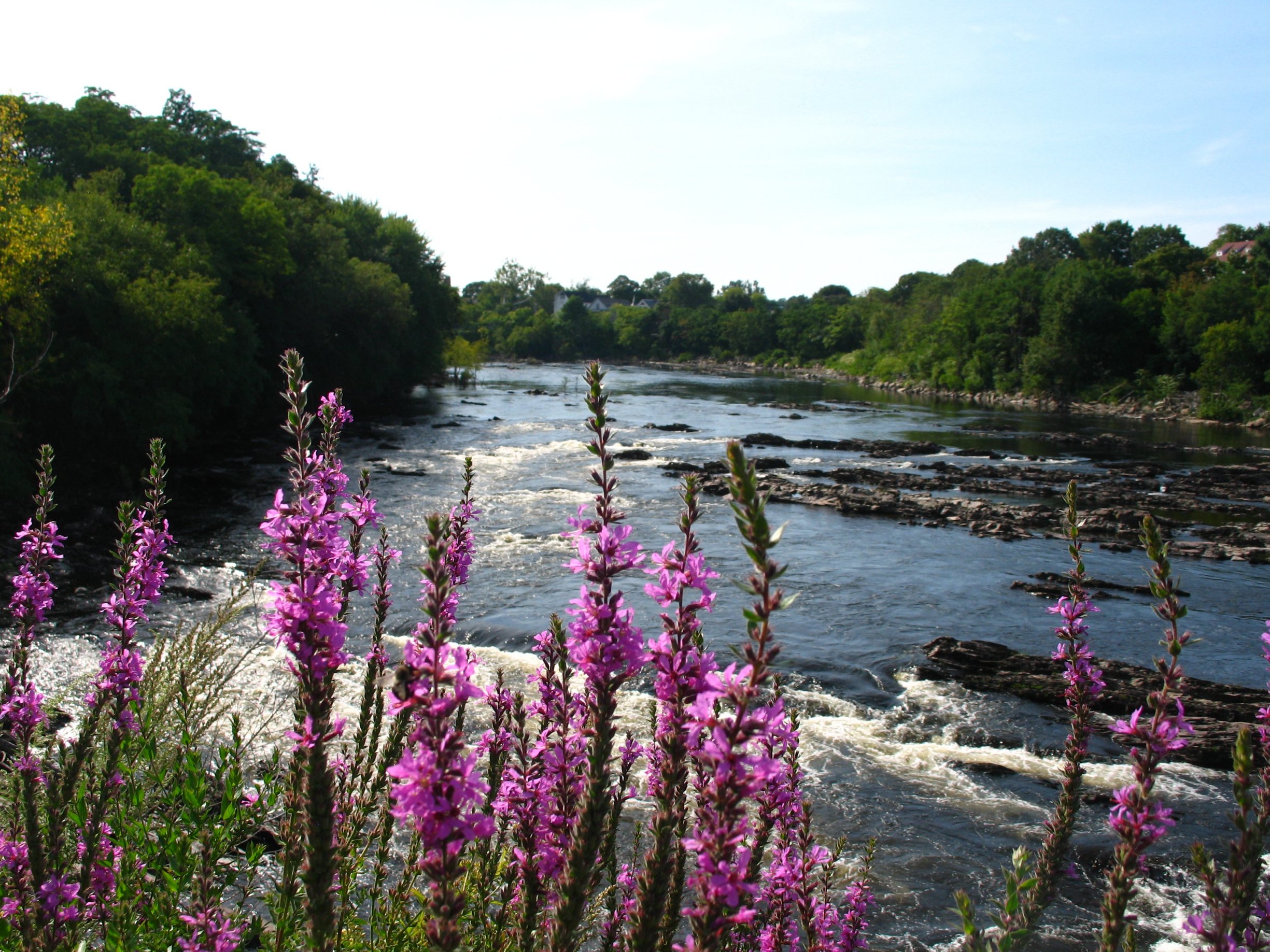 Free download high resolution image - free image free photo free stock image public domain picture -Merrimack River Along Northern Canal Walkway