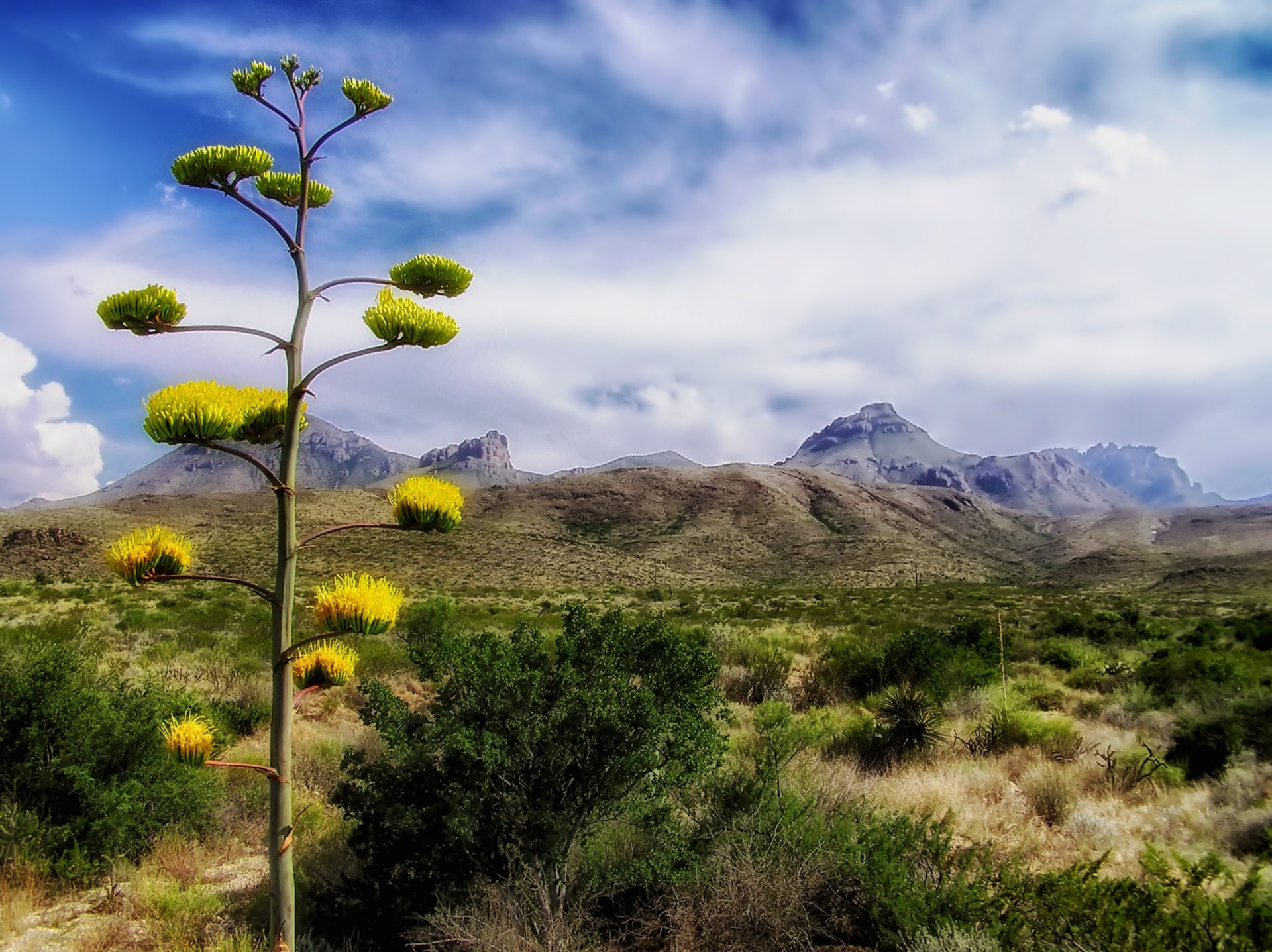 Free download high resolution image - free image free photo free stock image public domain picture -The Windows in Big Bend National Park