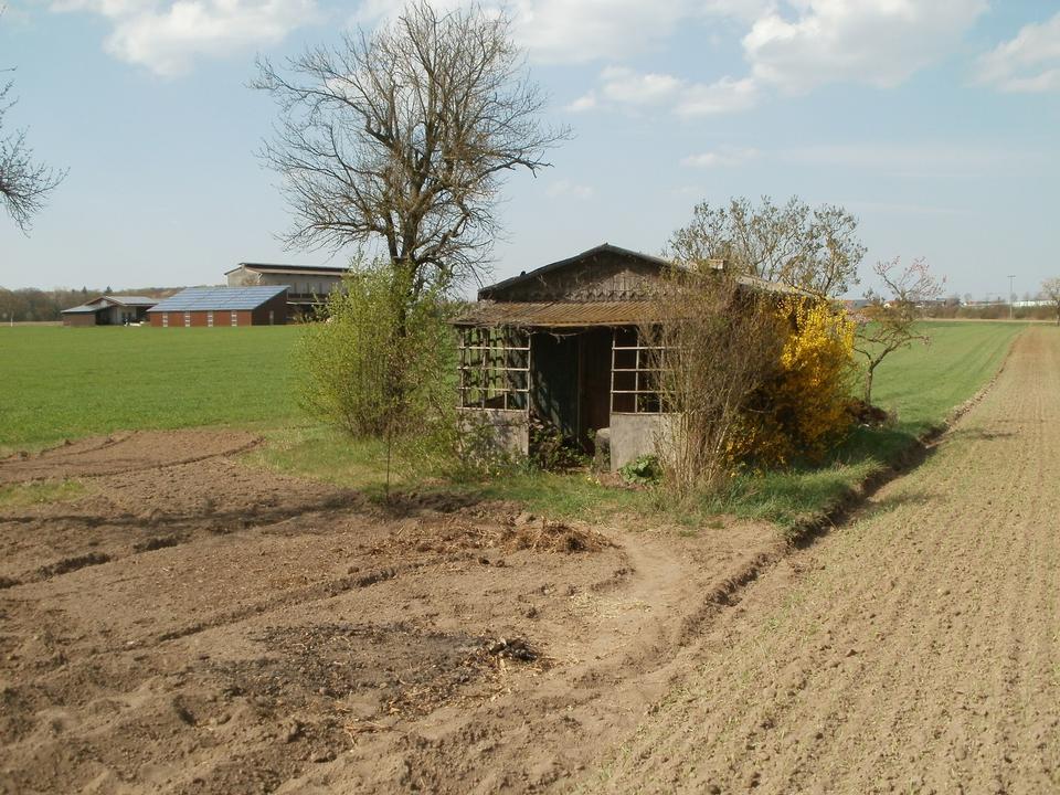 Free download high resolution image - free image free photo free stock image public domain picture  Old  tobacco barns in Oftersheim