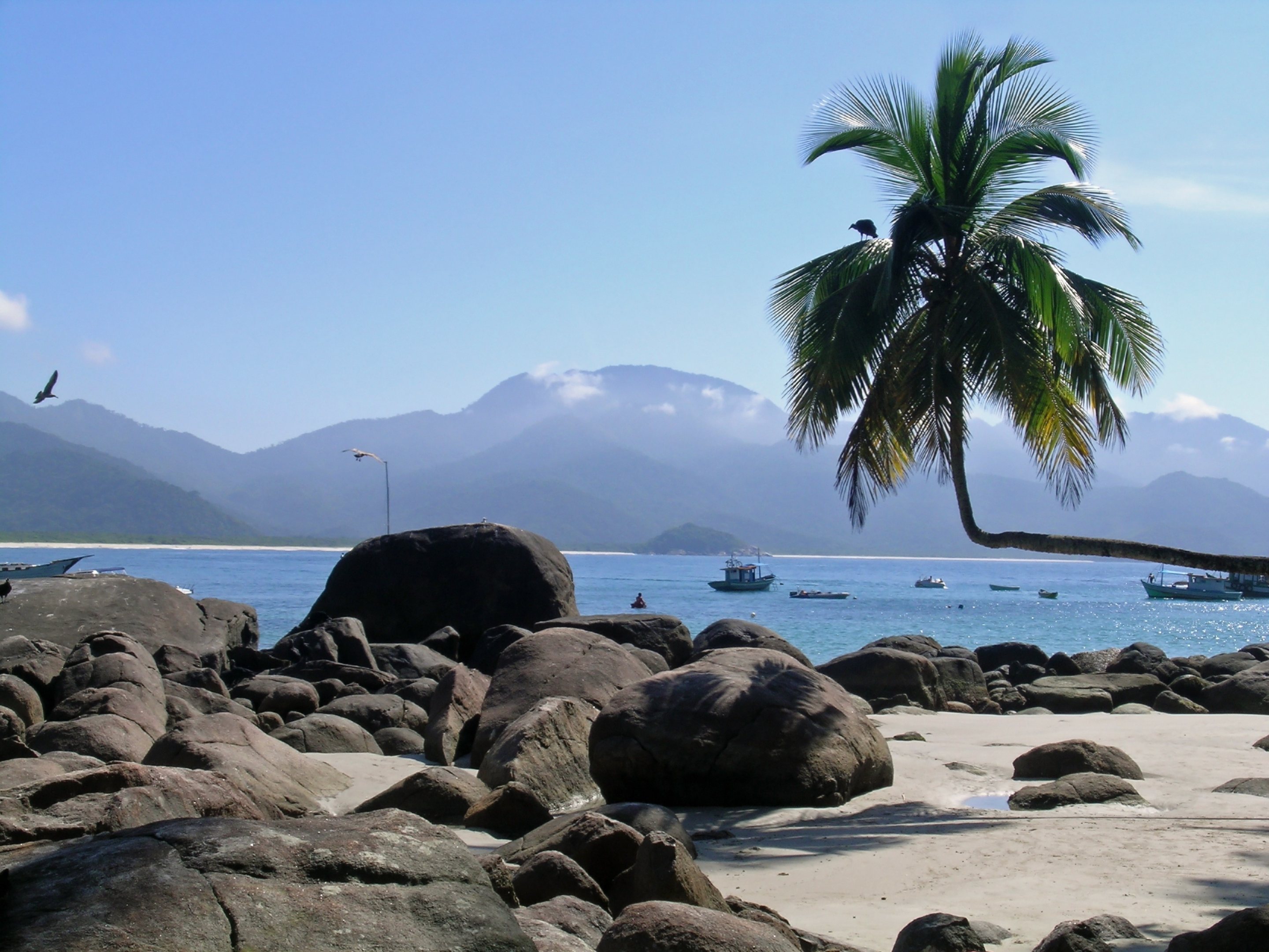 Free download high resolution image - free image free photo free stock image public domain picture -Untouched tropical beach with palms