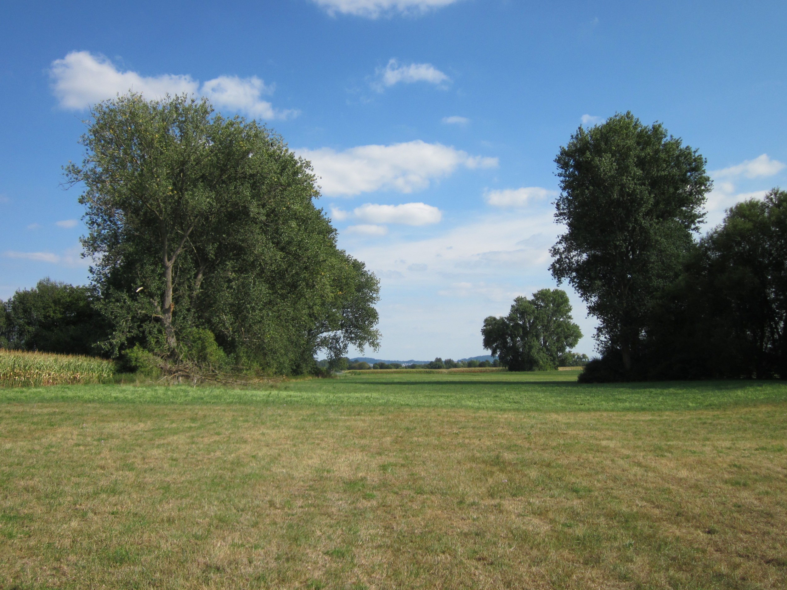 Free download high resolution image - free image free photo free stock image public domain picture -Spring landscape