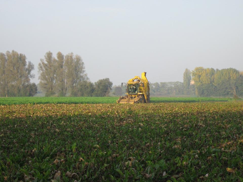 Free download high resolution image - free image free photo free stock image public domain picture  Combine harvester harvesting wheat