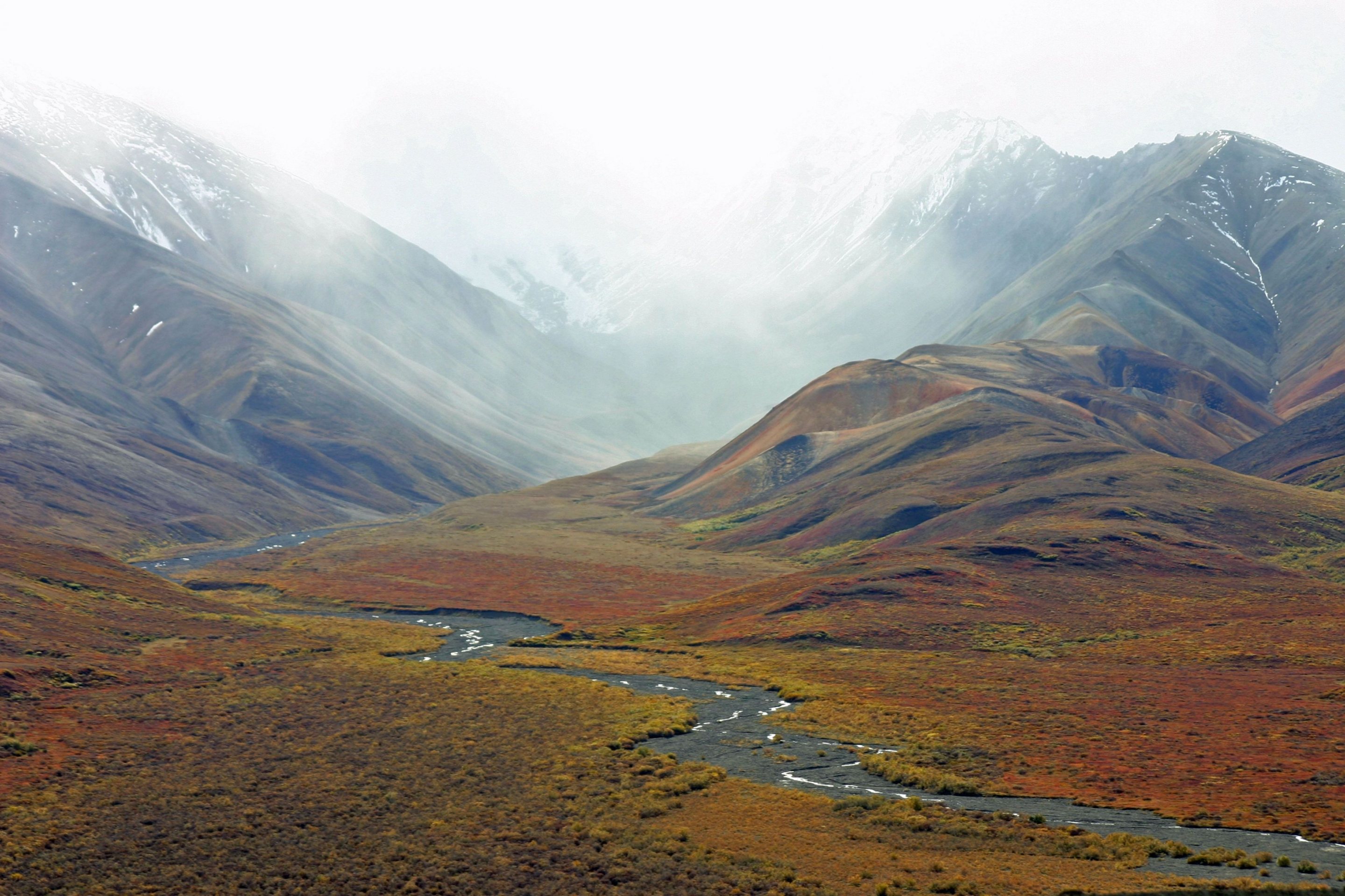 Free download high resolution image - free image free photo free stock image public domain picture -Tundra Wilderness Alaska