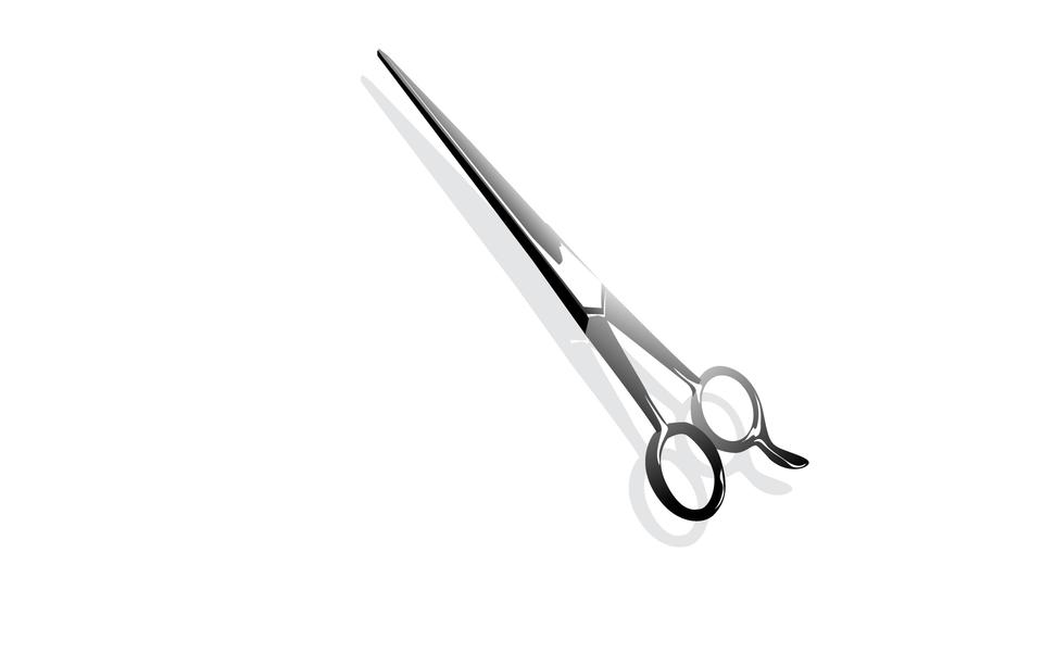 Free download high resolution image - free image free photo free stock image public domain picture  Cutting hair scissors