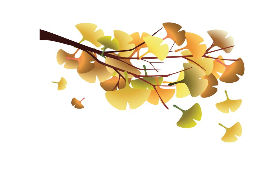 Free download high resolution image - free image free photo free stock image public domain picture  Autumn branch with falling leaves