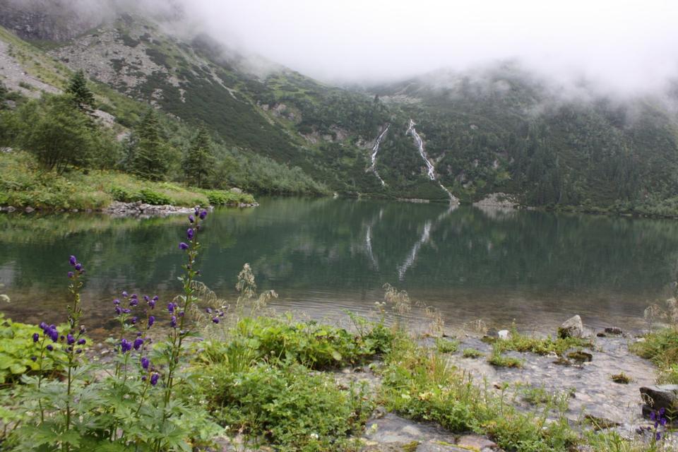 Free download high resolution image - free image free photo free stock image public domain picture  spring morning, a mist on the lake