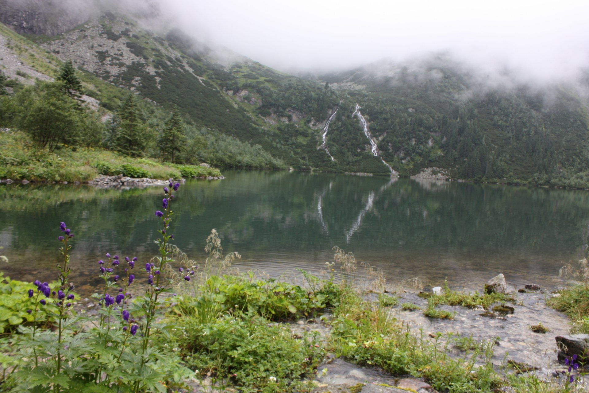 Free download high resolution image - free image free photo free stock image public domain picture -spring morning, a mist on the lake