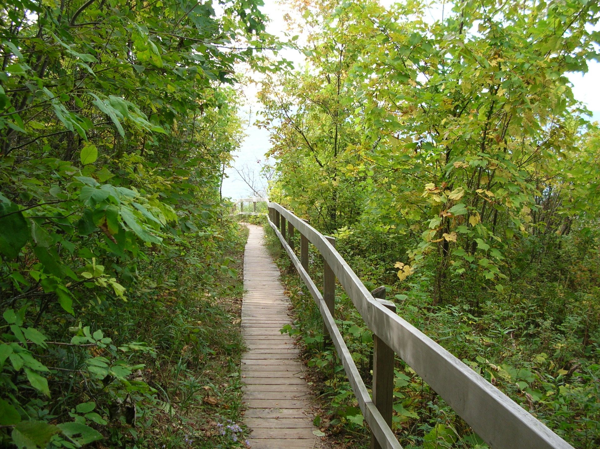 Free download high resolution image - free image free photo free stock image public domain picture -Empire Bluff Trail