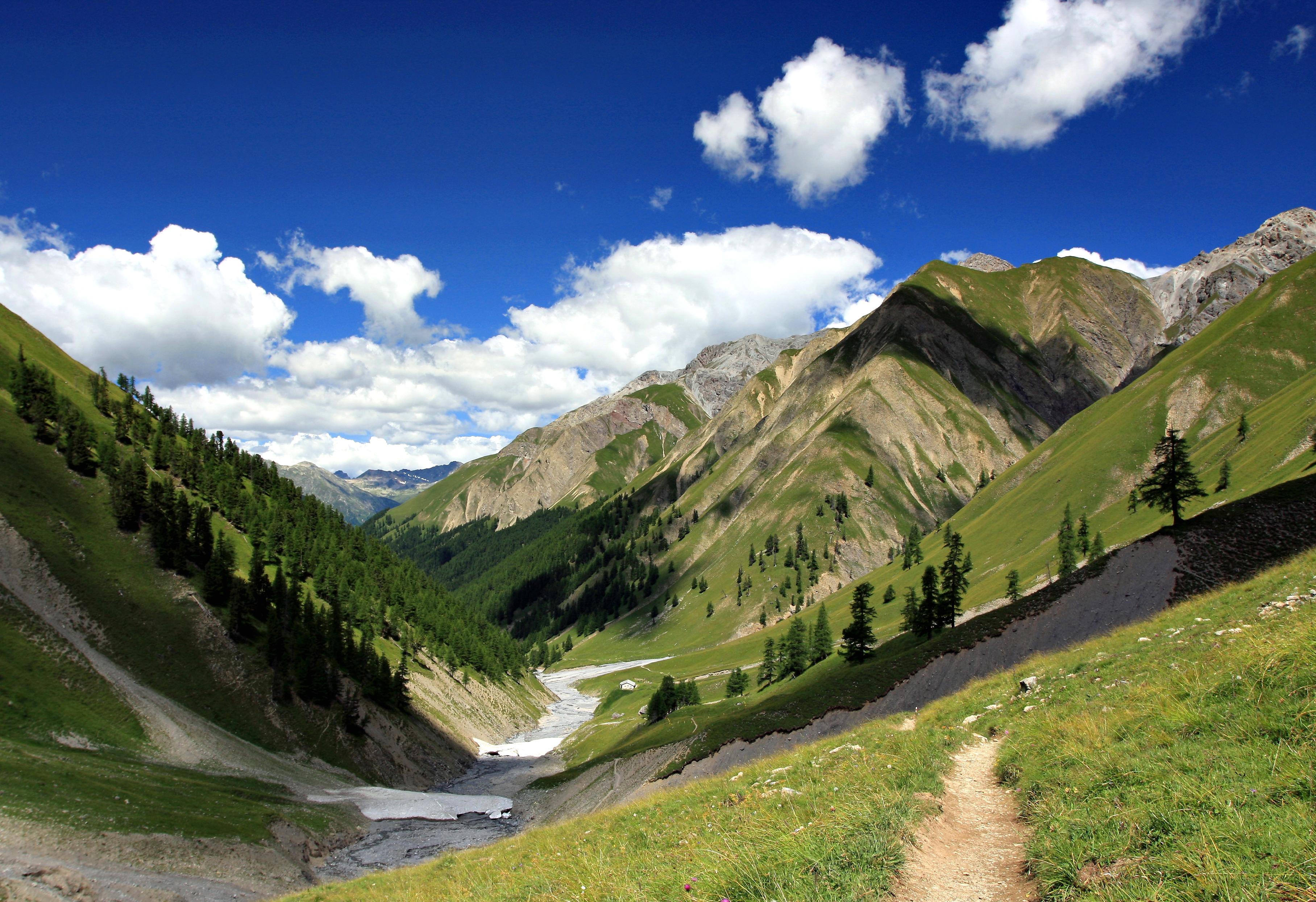 Free download high resolution image - free image free photo free stock image public domain picture -Val Trupchun in the Swiss National Park