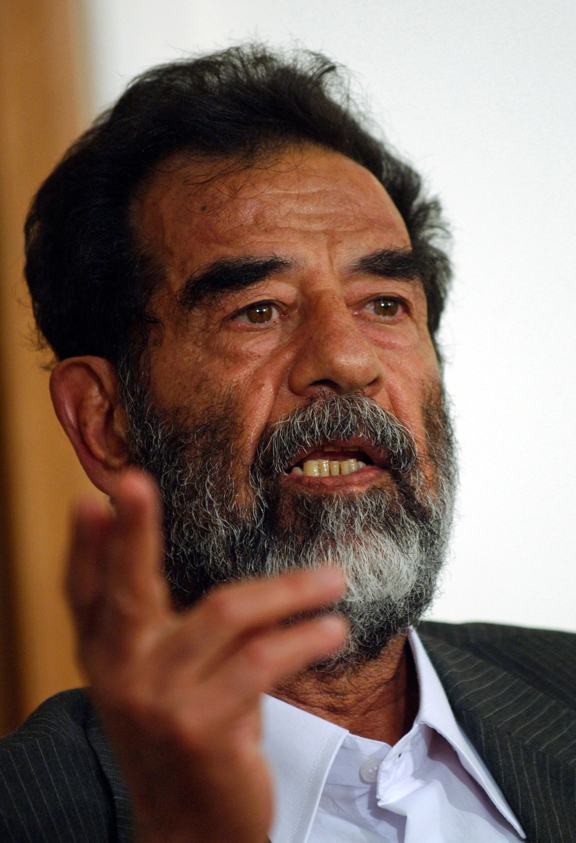 Free download high resolution image - free image free photo free stock image public domain picture -Former President of Iraq, Saddam Hussein