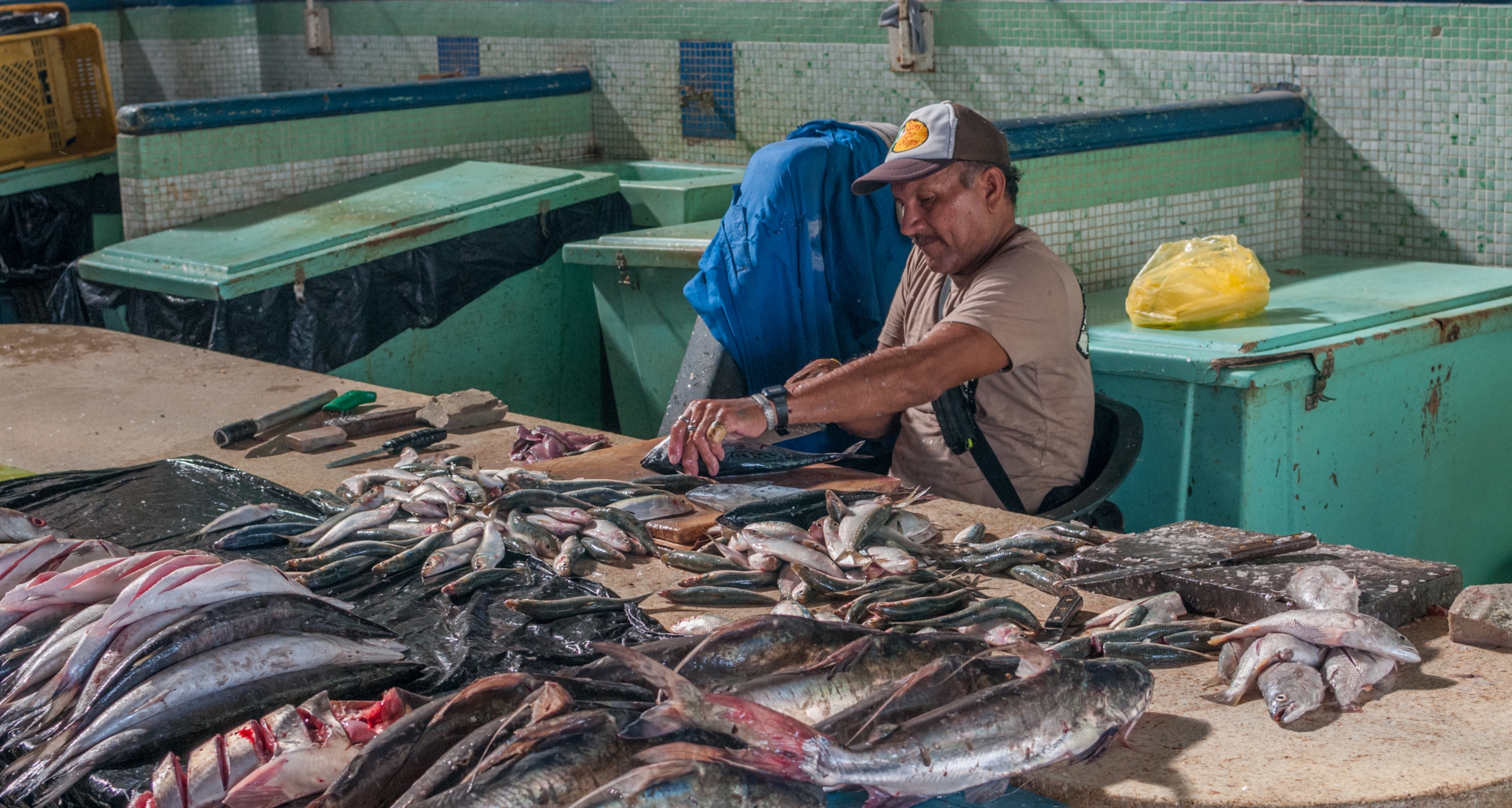 Free download high resolution image - free image free photo free stock image public domain picture -fishmongers preparing to sell fresh fish and finished fishing