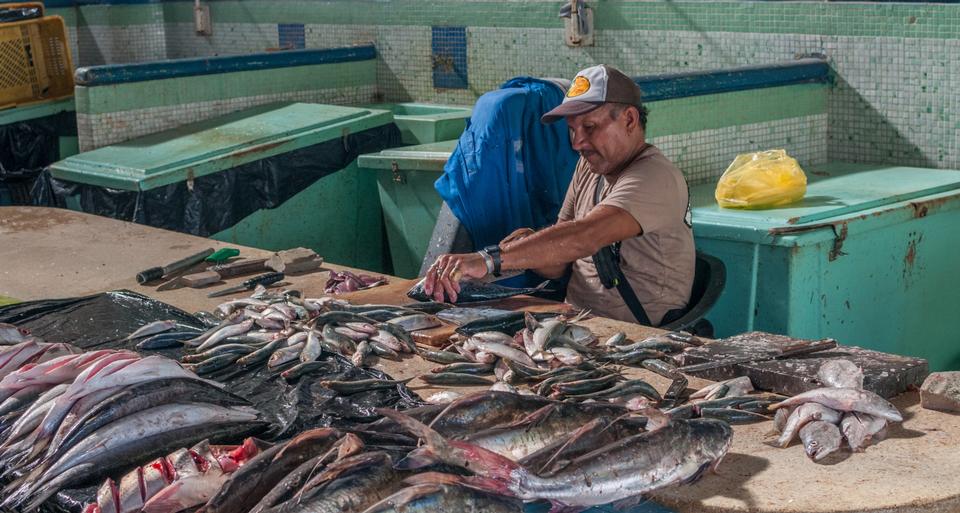 Free download high resolution image - free image free photo free stock image public domain picture  fishmongers preparing to sell fresh fish and finished fishing