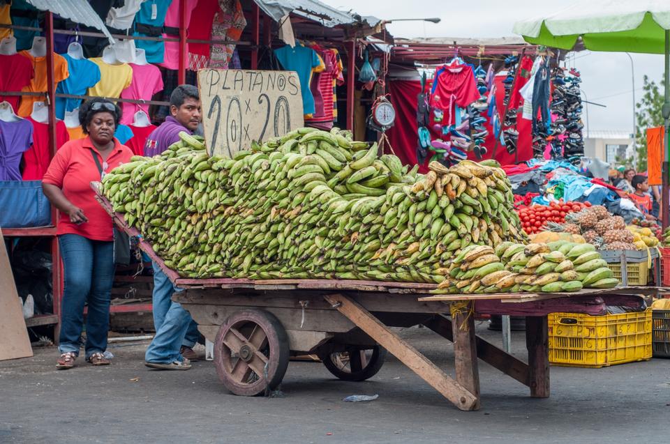 Free download high resolution image - free image free photo free stock image public domain picture  selling bananas on the street