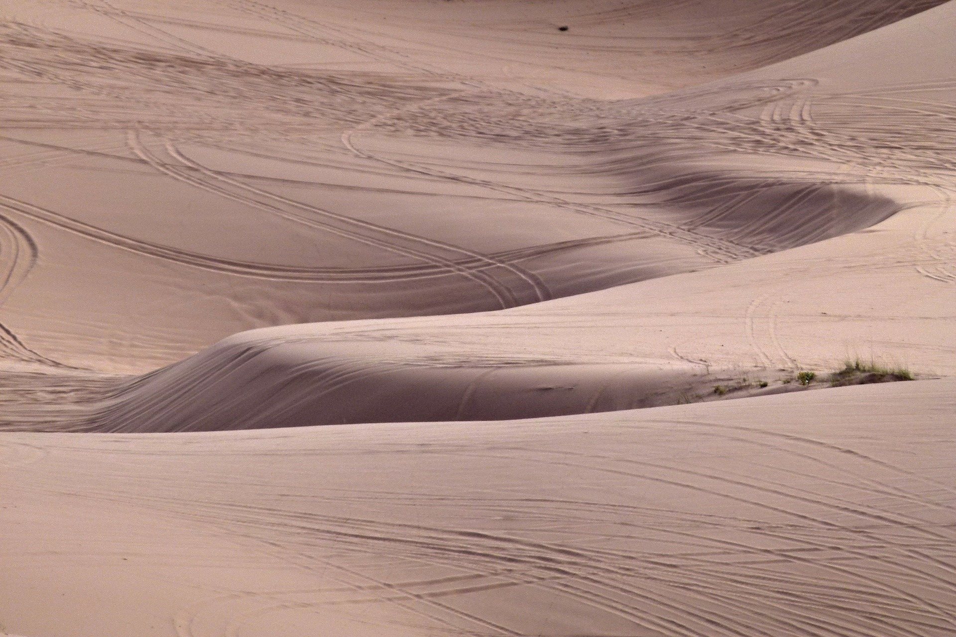 Free download high resolution image - free image free photo free stock image public domain picture -Windblown Sand Dune