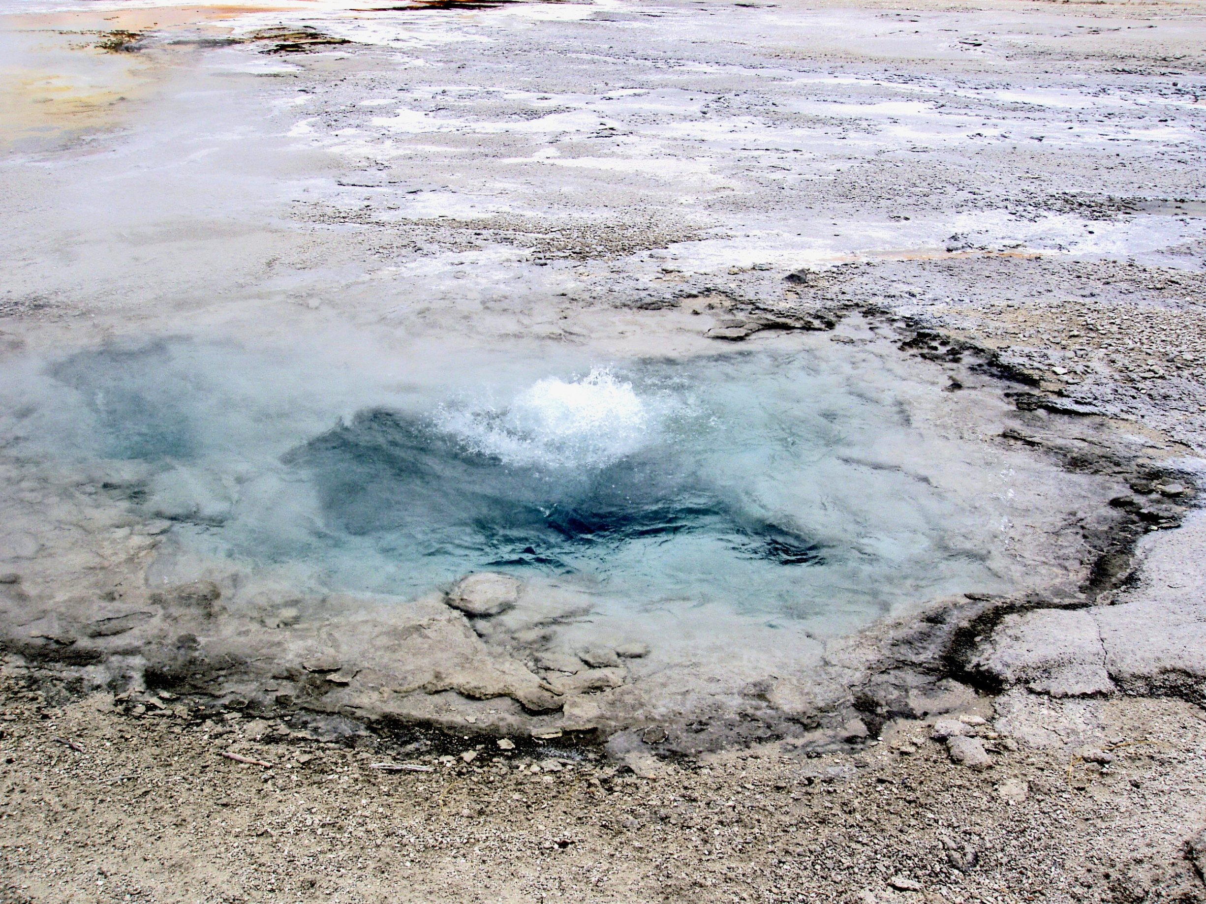 Free download high resolution image - free image free photo free stock image public domain picture -Yellowstone National Park with steam rising