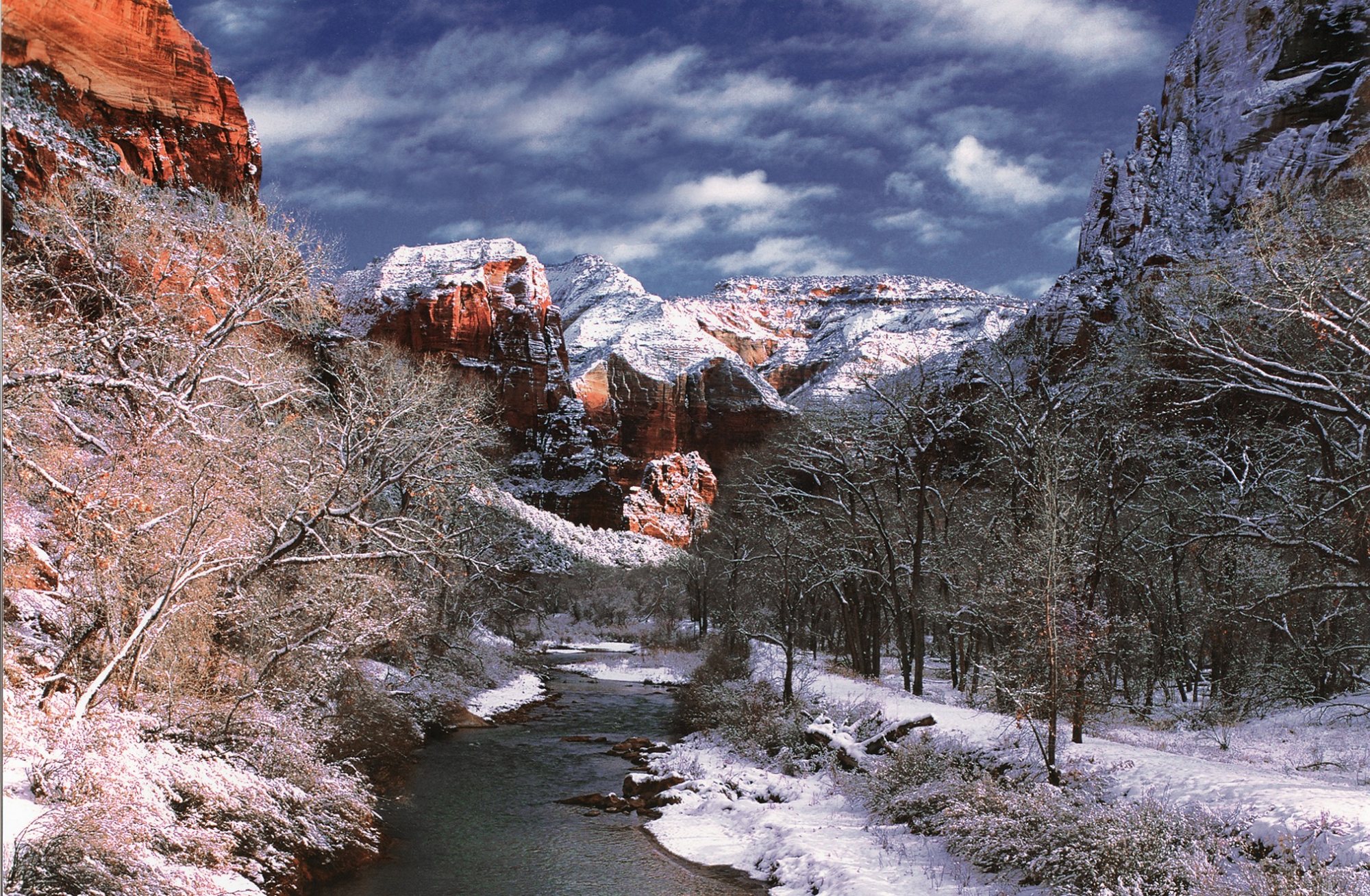 Free download high resolution image - free image free photo free stock image public domain picture -Zion National Park is located in the Southwestern