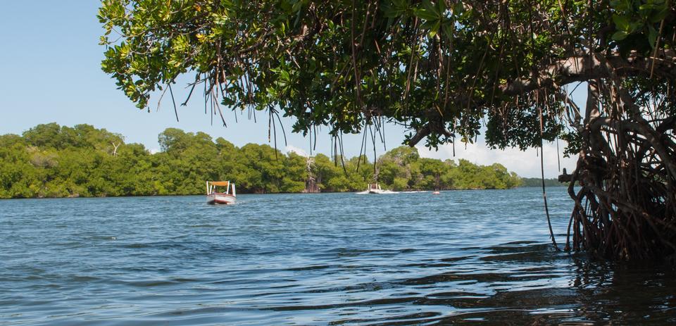 Free download high resolution image - free image free photo free stock image public domain picture  Laguna de la Restinga national park on the Isla Margarita