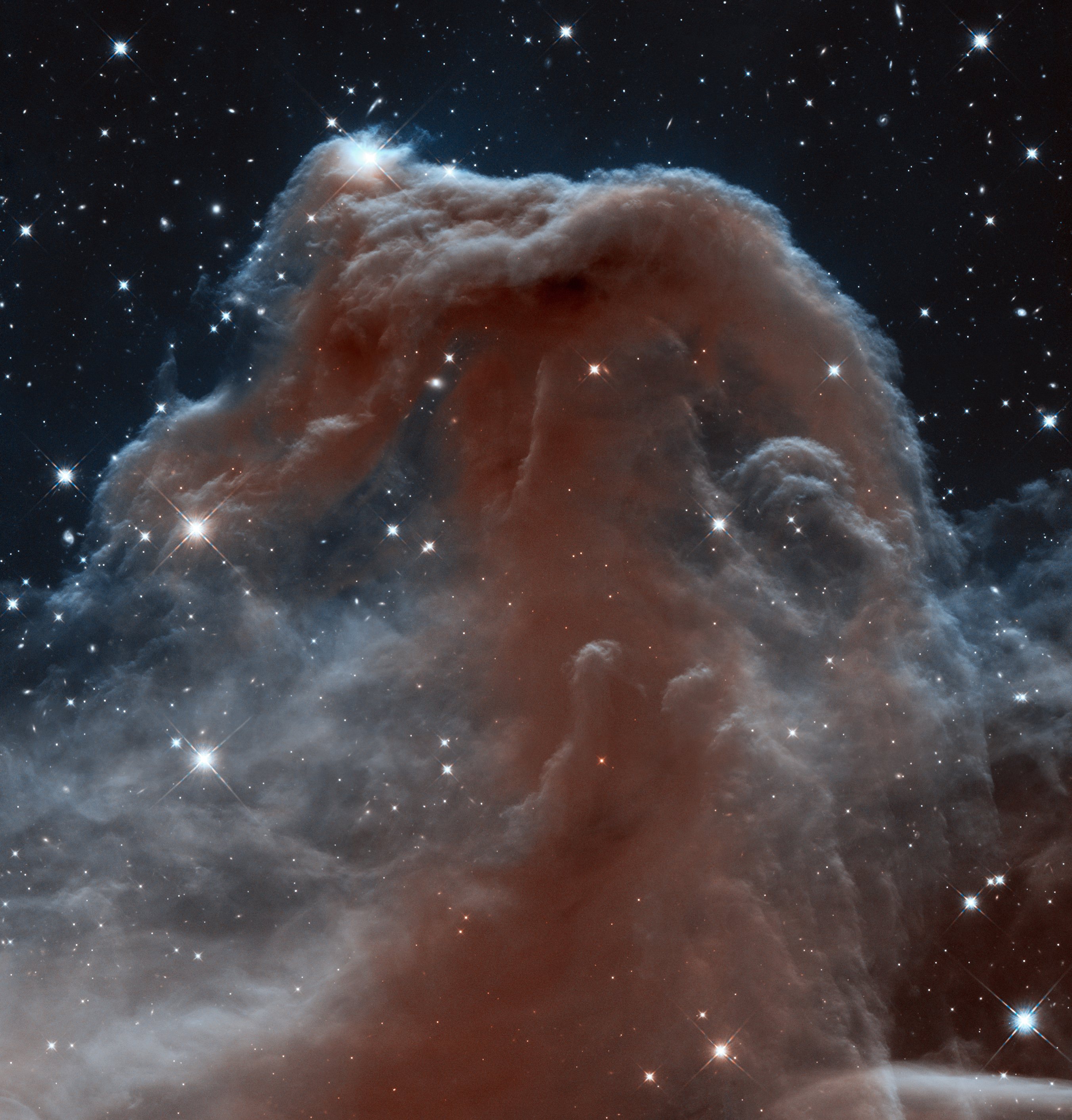 Free download high resolution image - free image free photo free stock image public domain picture -Hubble Sees a Horsehead of a Different Color