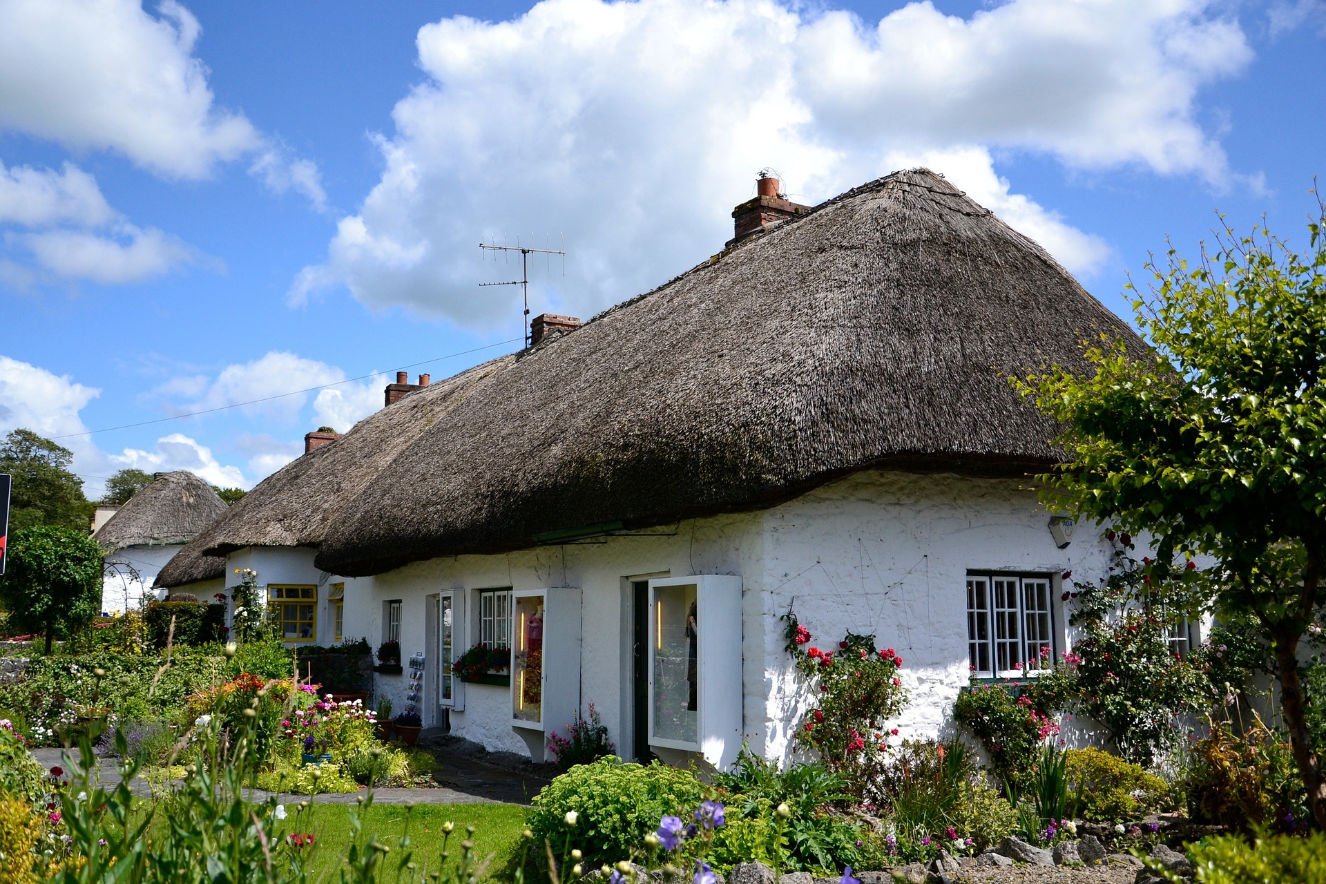 Free download high resolution image - free image free photo free stock image public domain picture -Old Reed House in Ireland