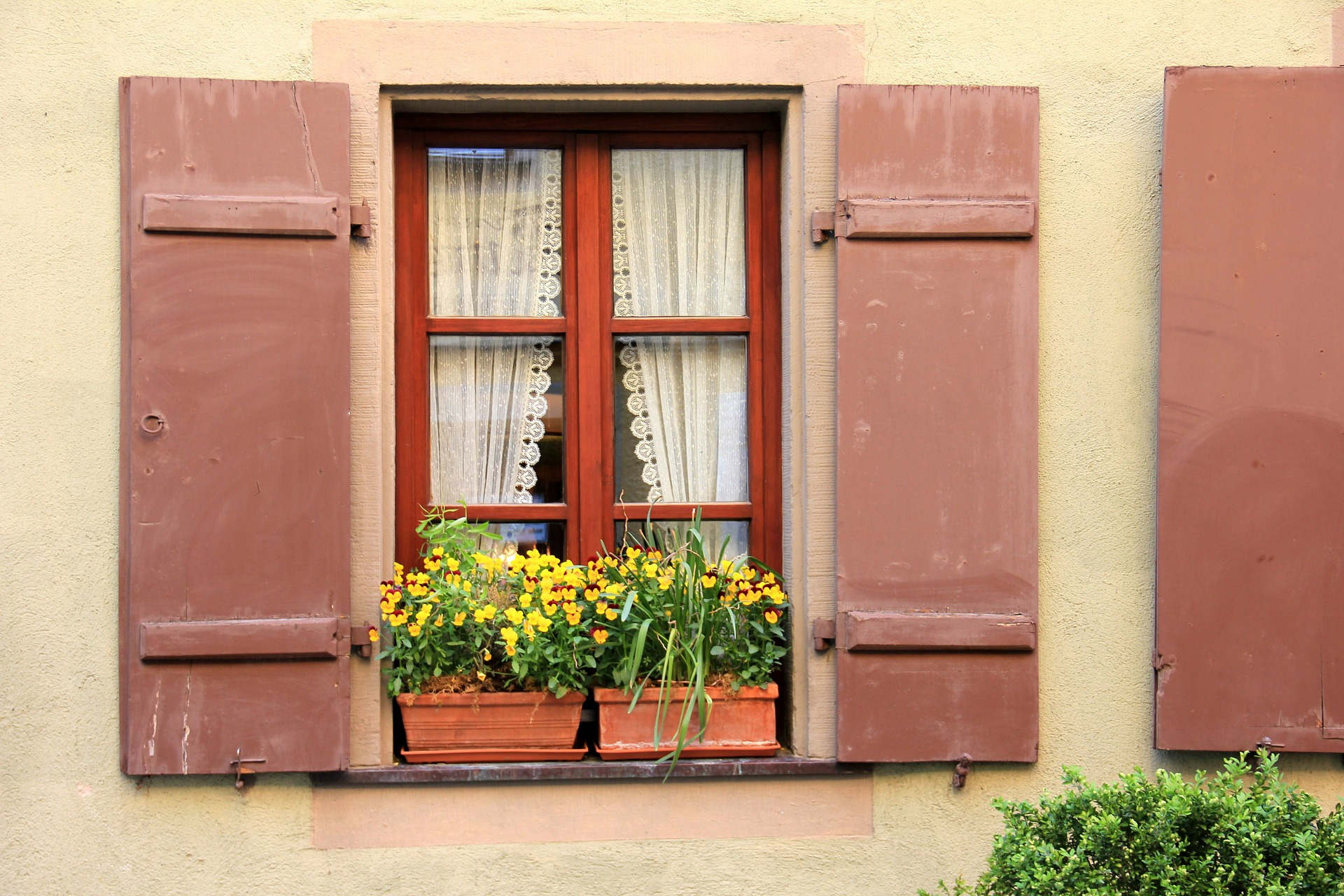 Free download high resolution image - free image free photo free stock image public domain picture -pot plants on a window sill