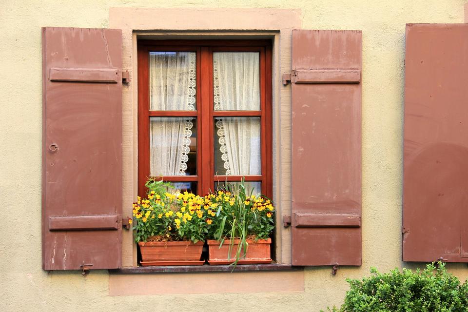 Free download high resolution image - free image free photo free stock image public domain picture  pot plants on a window sill