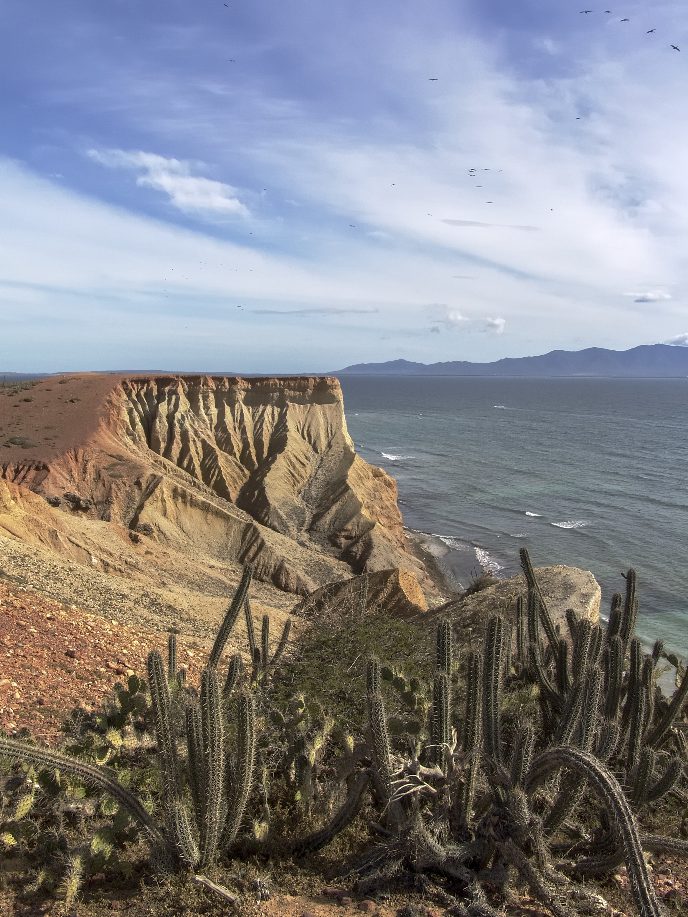 Free download high resolution image - free image free photo free stock image public domain picture -Coche Island Venezuela