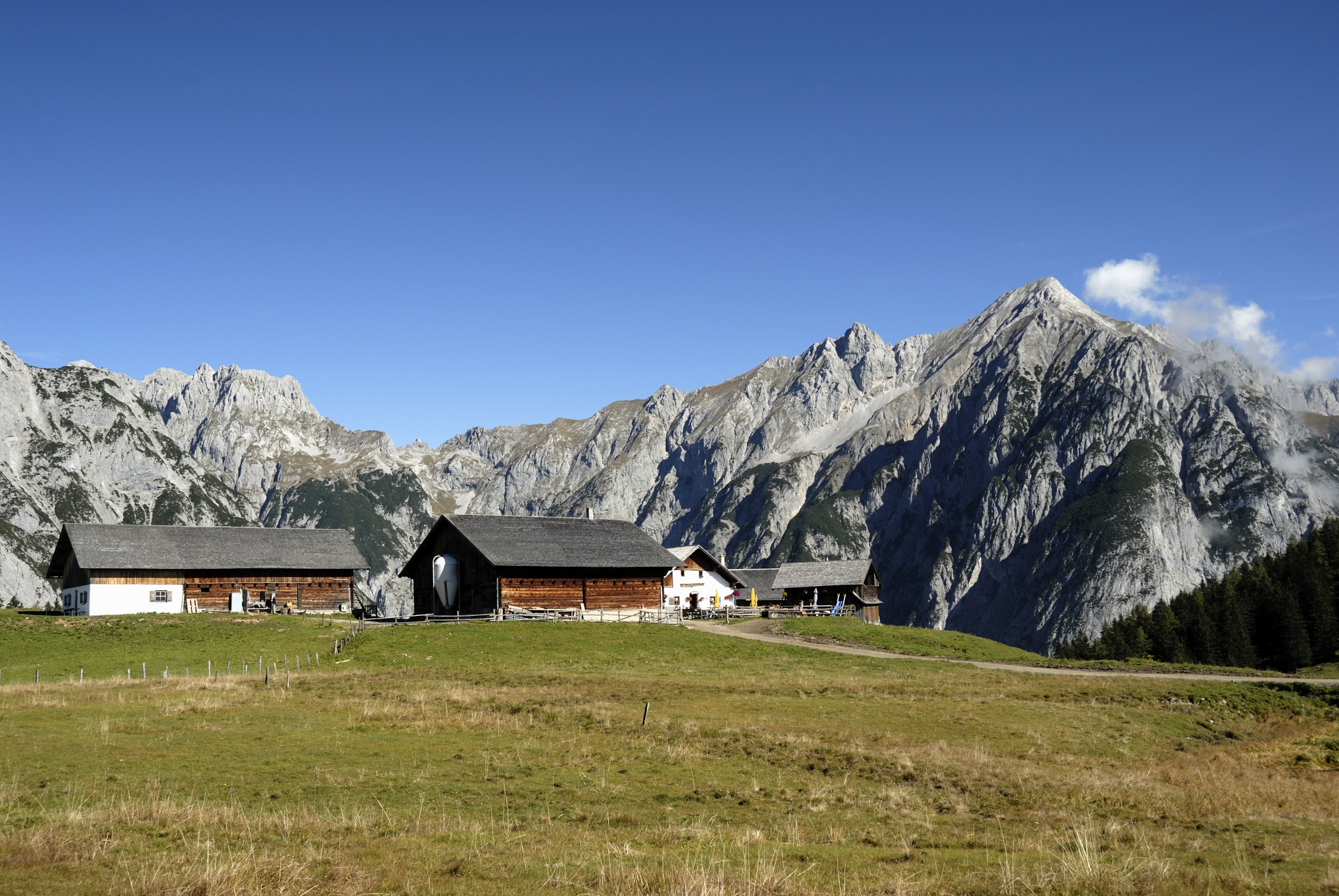 Free download high resolution image - free image free photo free stock image public domain picture -Walder Alm in Gnadenwald, Austria