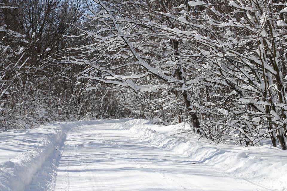 Free download high resolution image - free image free photo free stock image public domain picture  snow-covered road from Sosonka village