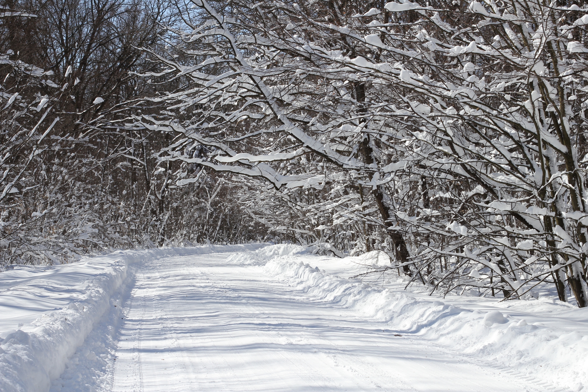 Free download high resolution image - free image free photo free stock image public domain picture -snow-covered road from Sosonka village