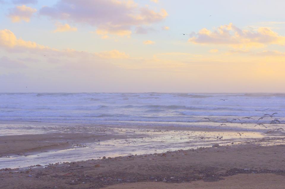 Free download high resolution image - free image free photo free stock image public domain picture  Beach in Winter