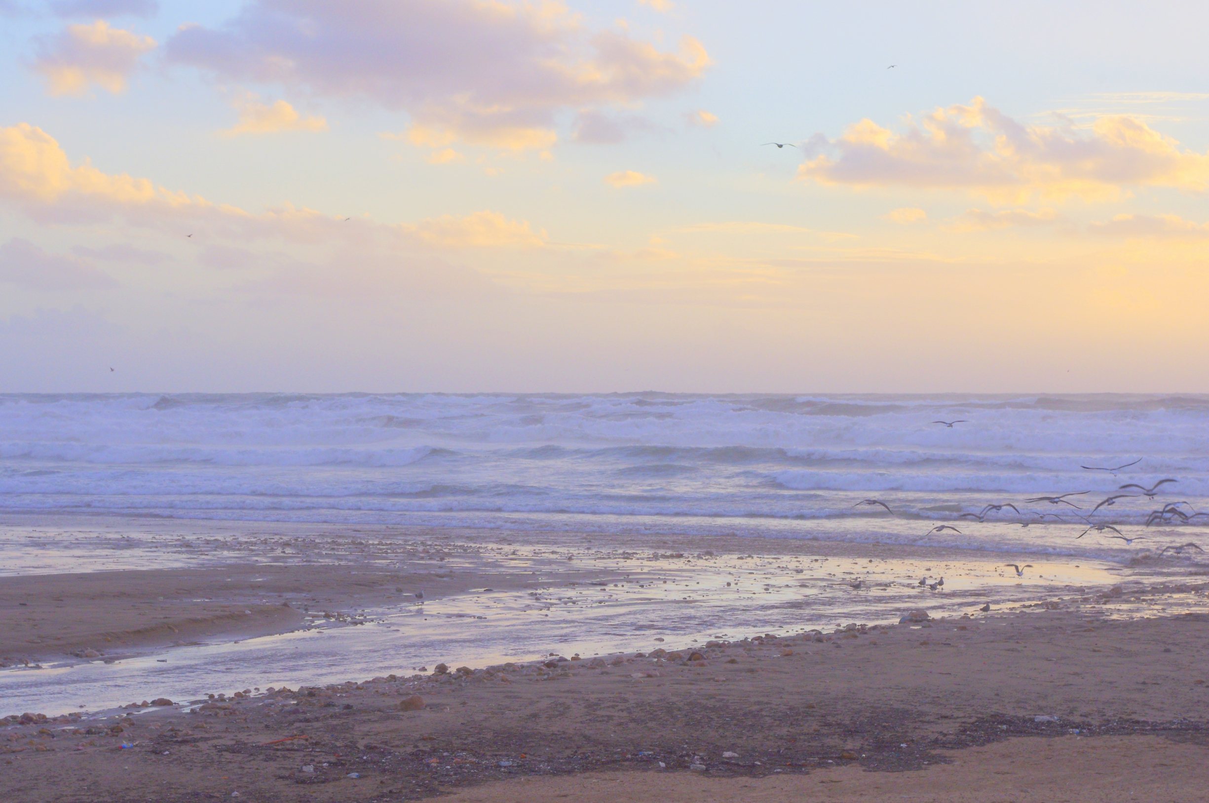 Free download high resolution image - free image free photo free stock image public domain picture -Beach in Winter