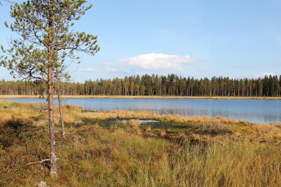 Free download high resolution image - free image free photo free stock image public domain picture  The lake Ahmasjärvi in the Vesala district in Oulu