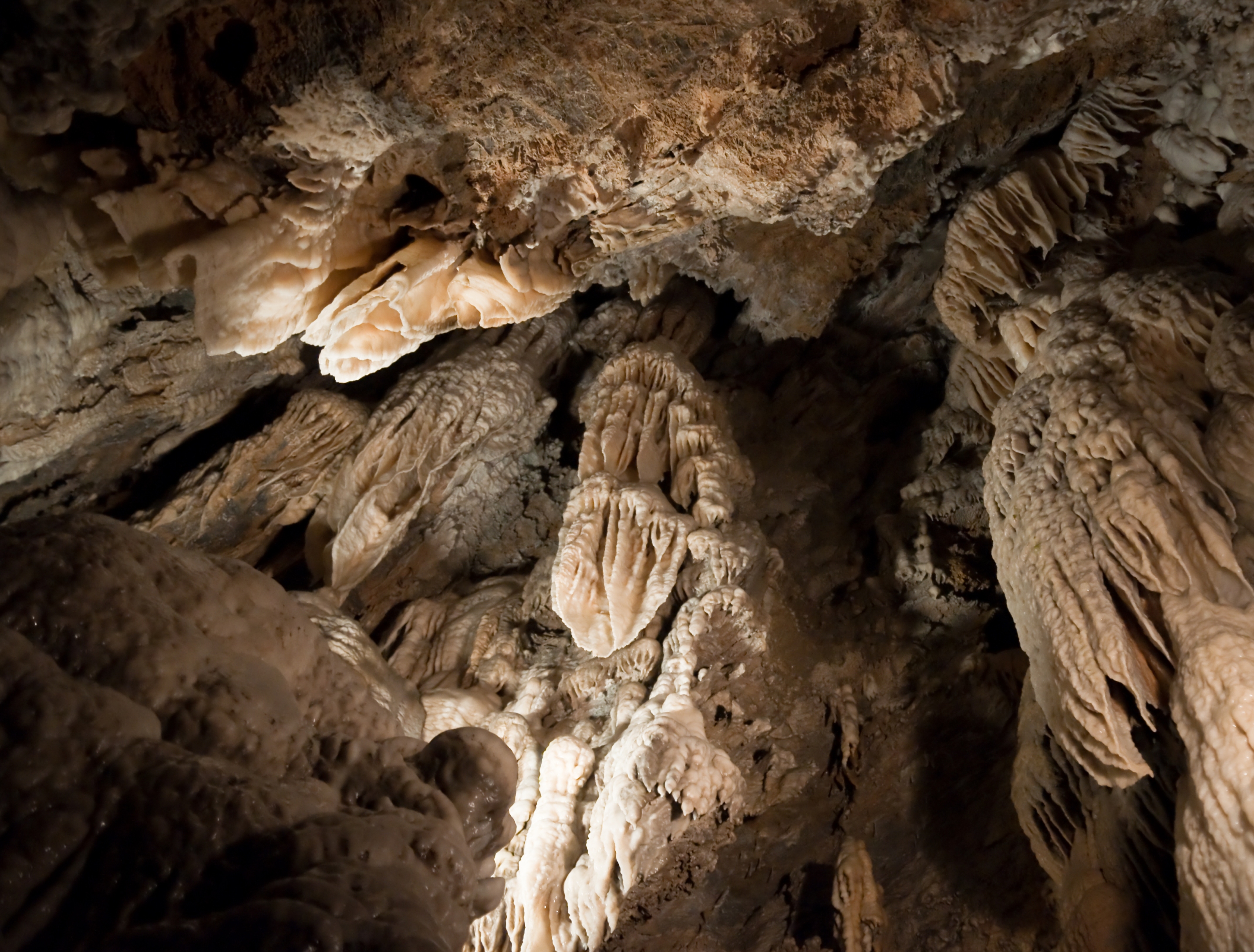 Free download high resolution image - free image free photo free stock image public domain picture -Formations inside the Cueva Del Viento of Guajataca Forest Reserv