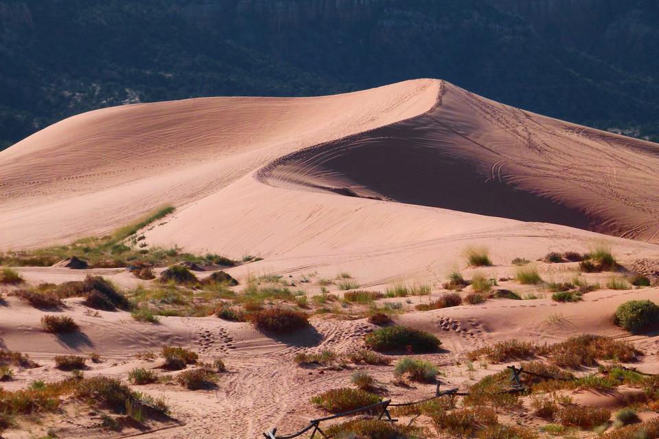 Free download high resolution image - free image free photo free stock image public domain picture  Coral Pink Sand Dunes State Park