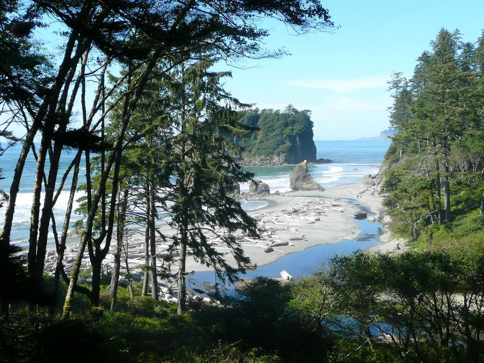 Free download high resolution image - free image free photo free stock image public domain picture  Ruby Beach Olympic National Park