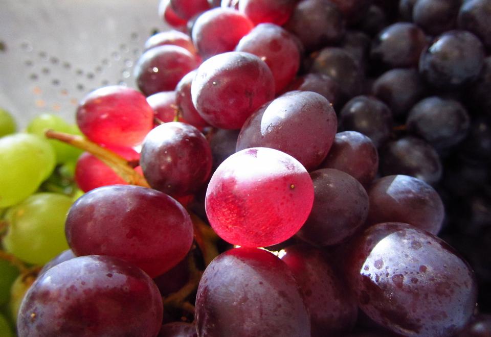 Free download high resolution image - free image free photo free stock image public domain picture  red and green grapes