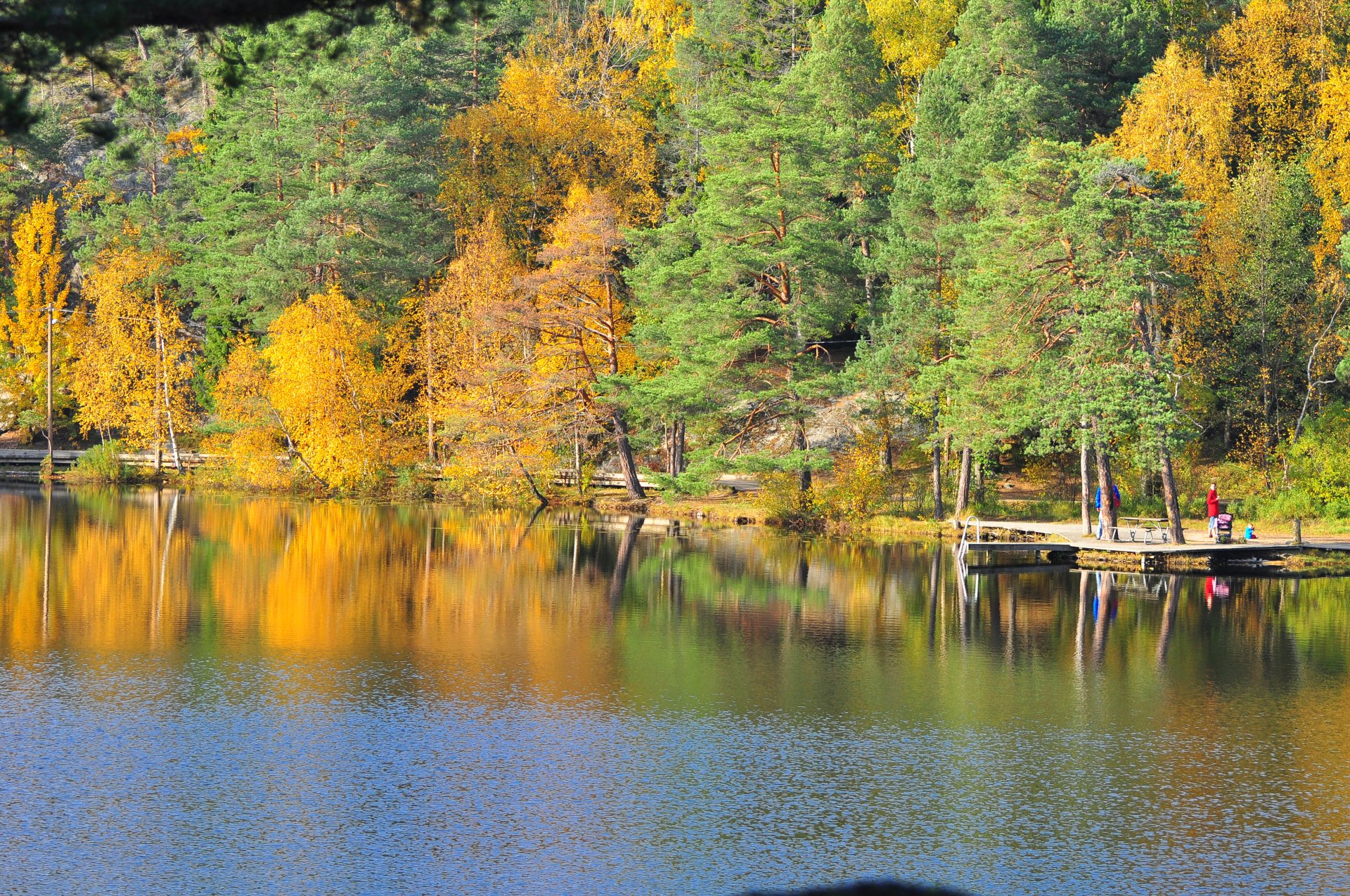 Free download high resolution image - free image free photo free stock image public domain picture -Lake Barn in the autumn. Sweden