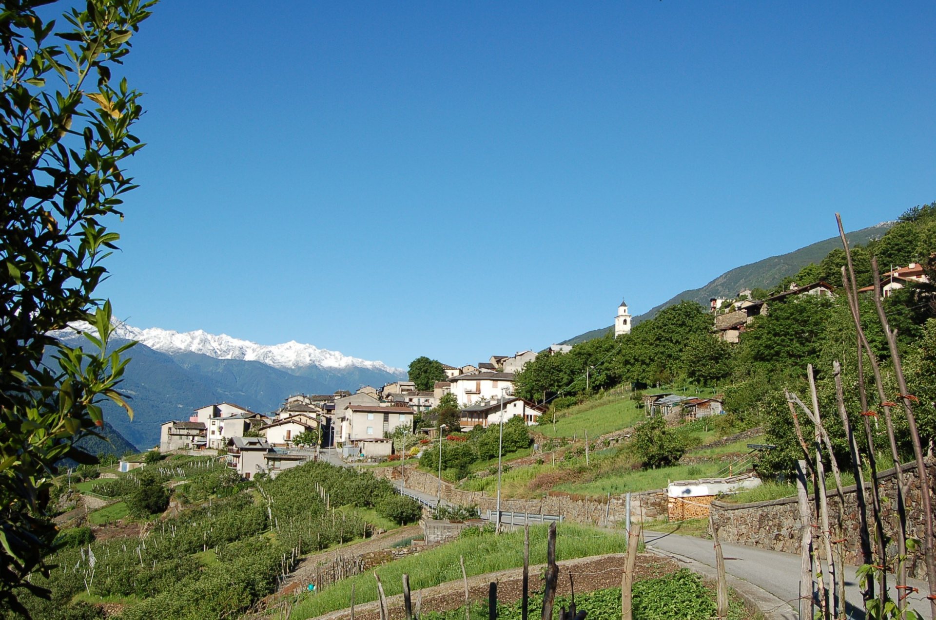 Free download high resolution image - free image free photo free stock image public domain picture -Tirano Town in Italy