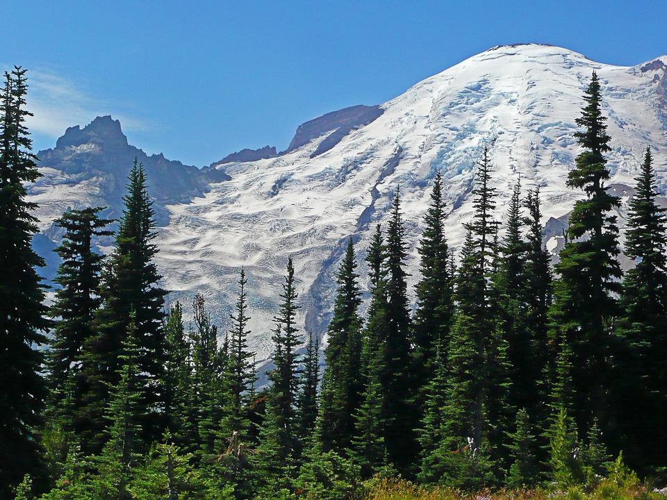 Free download high resolution image - free image free photo free stock image public domain picture  Mount Rainier National Park; Washington